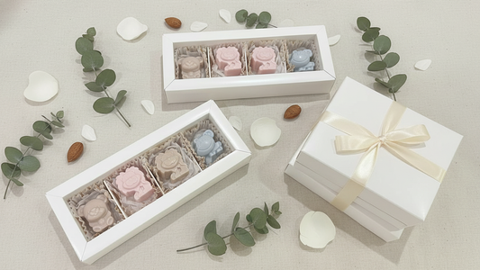 Animal Chocolate Box