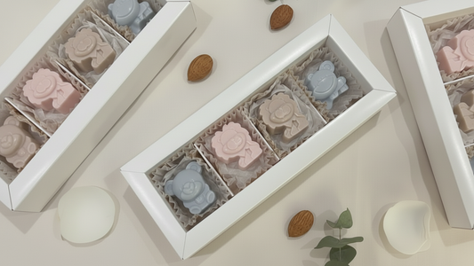 Jungle Chocolate Box of 4